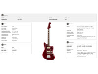 Fender Troy Van Leeuwen Jazzmaster Fender Troy Van Leeuwen Jazzmaster